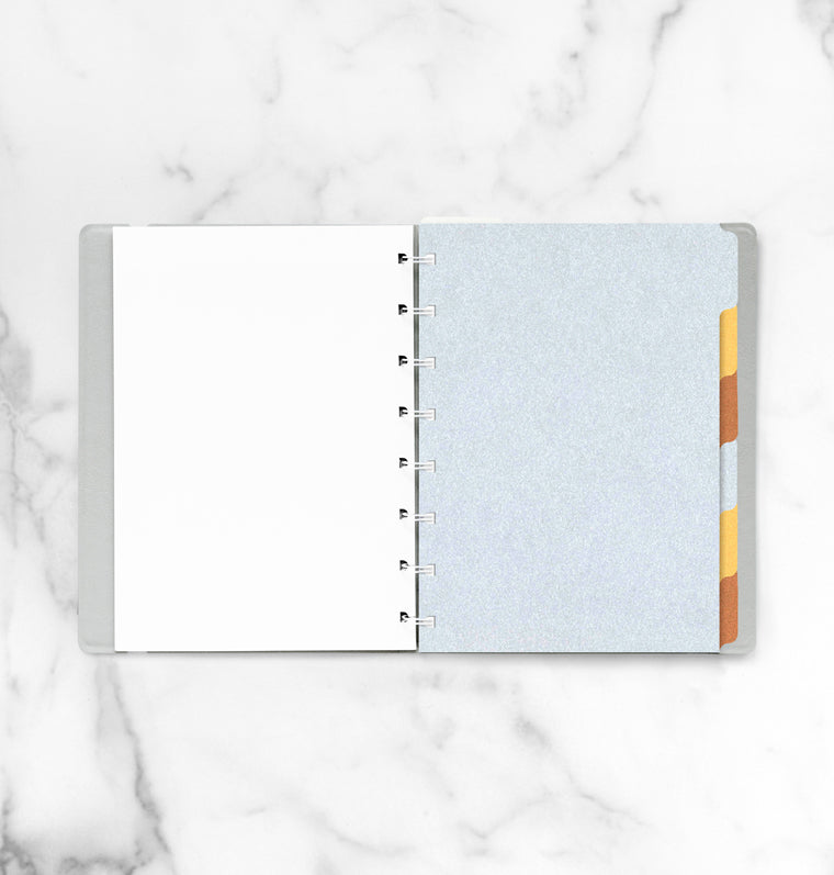 filofax-notebook-trennbl-tter-metallic-a5-6er-set image 2