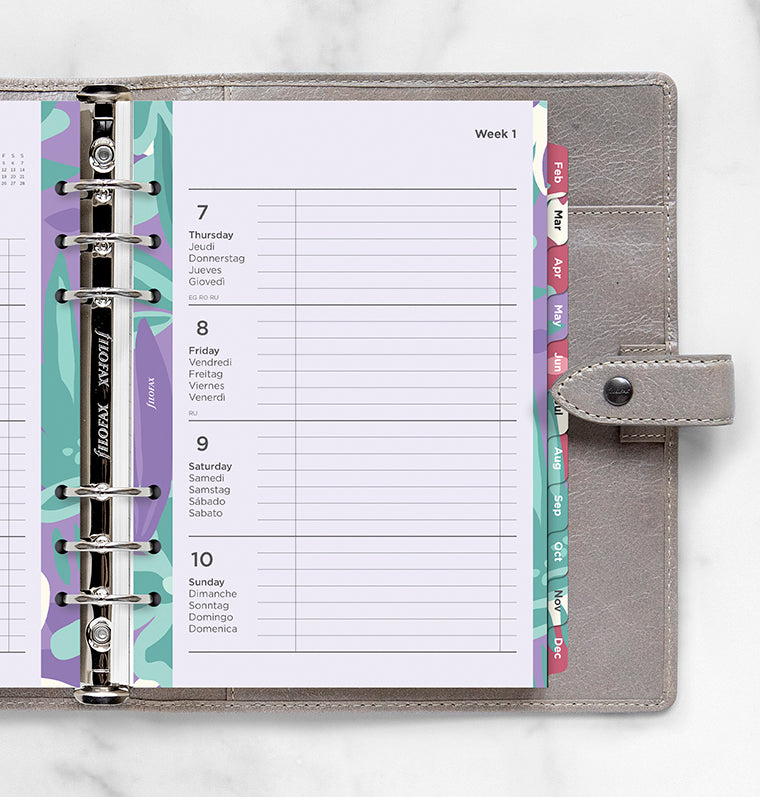 filofax-illustrated-diary-pack-a5-2027-1-woche-2-seiten-multilingual image 2