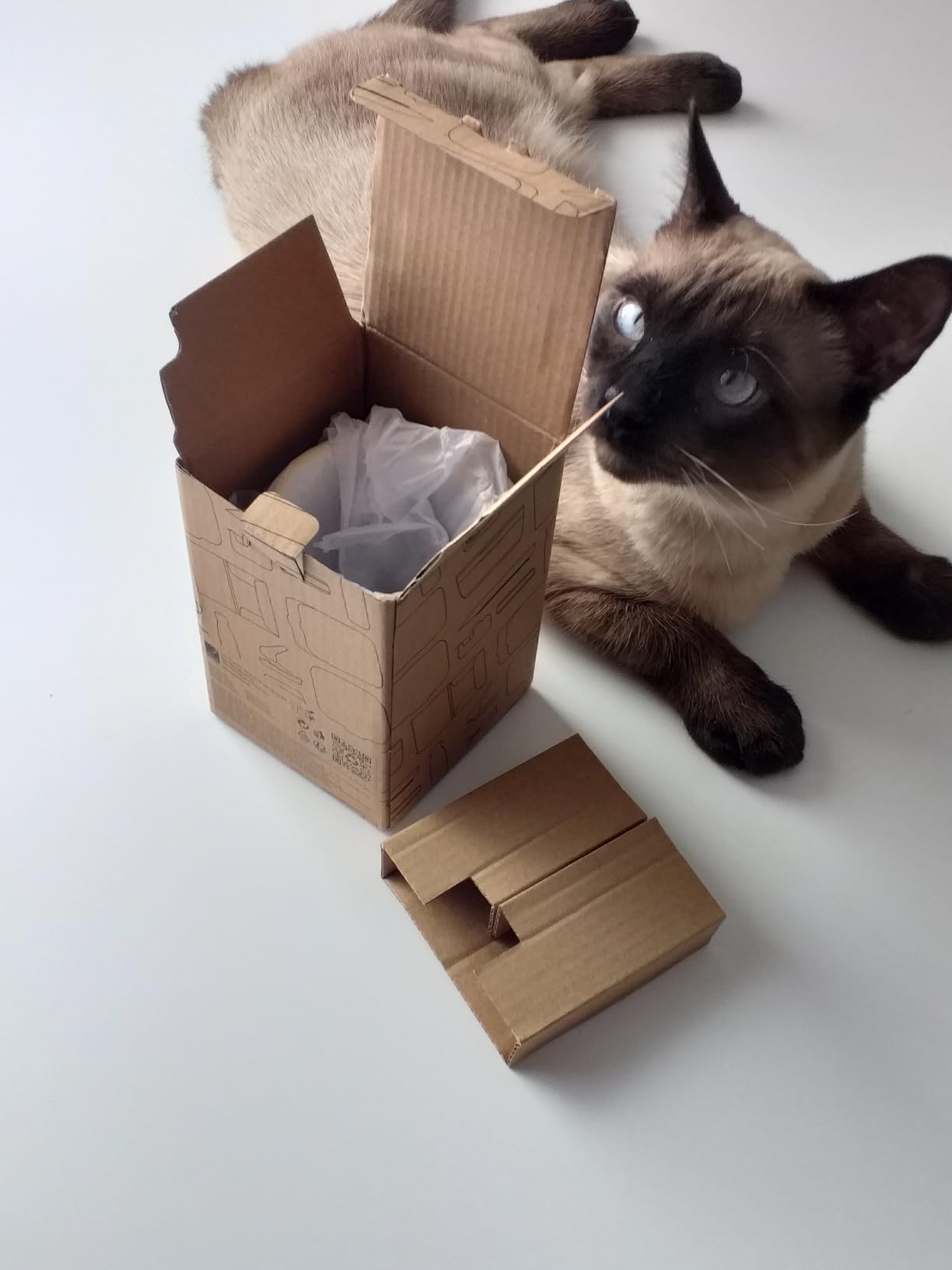 Liebe mein Homeoffice jetzt mehr