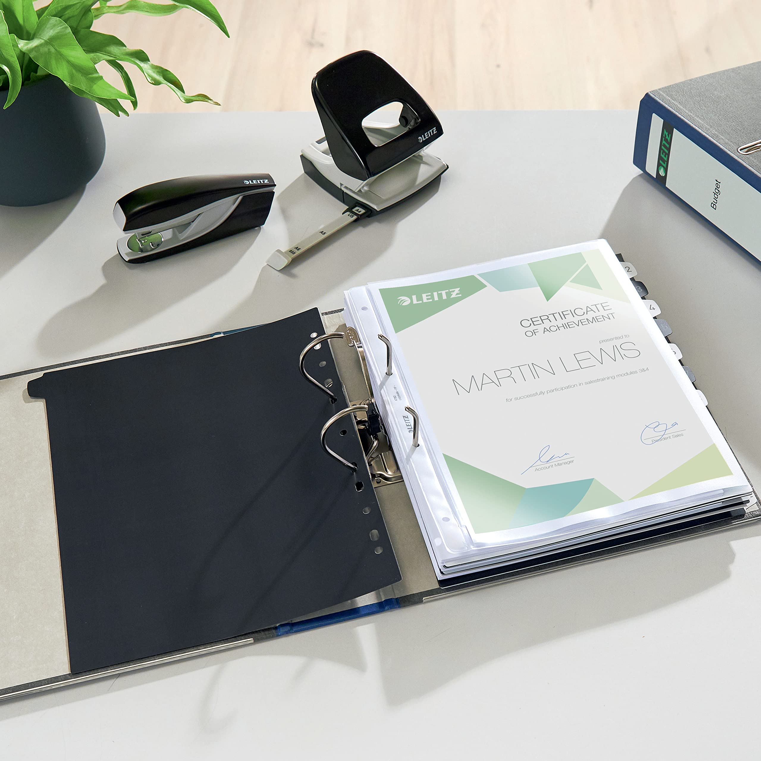 leitz-qualit-ts-ordner-180-a4-karton-8-cm-wolkenmarmor-mit-blauem-r-cken image 6