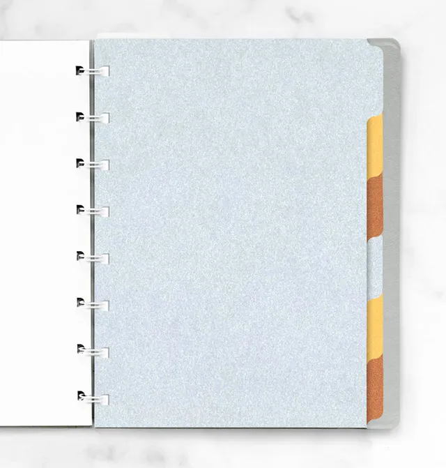 filofax-notebook-trennbl-tter-metallic-a5-6er-set image 1
