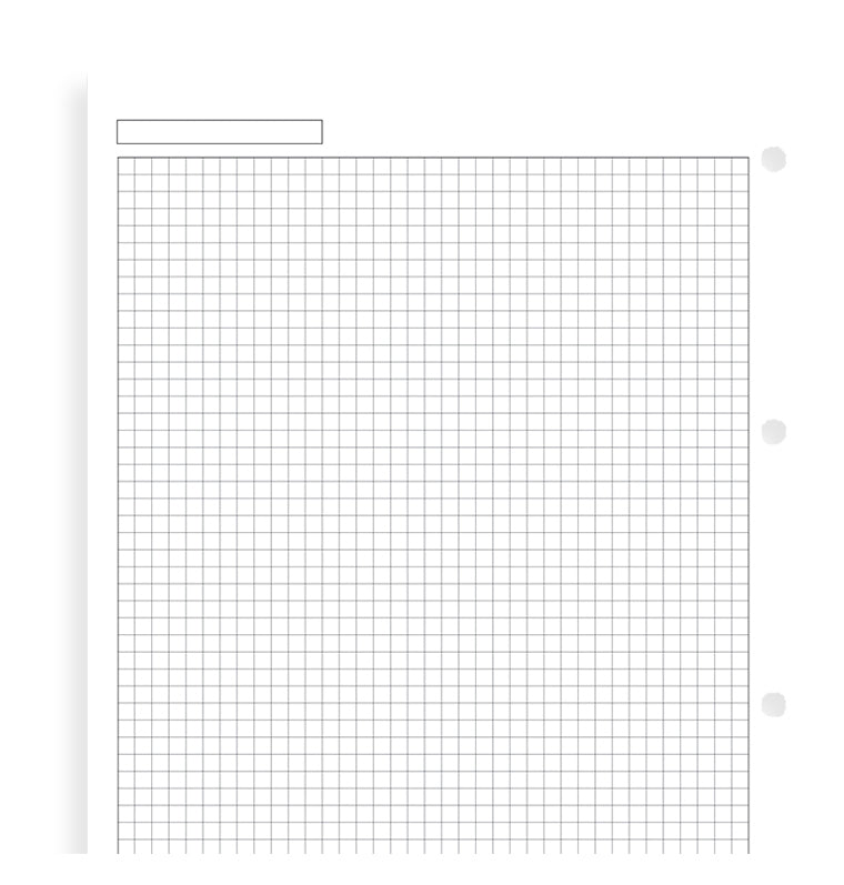 filofax-notizpapier-wei-kariert-a4-20-blatt-5-mm image 4