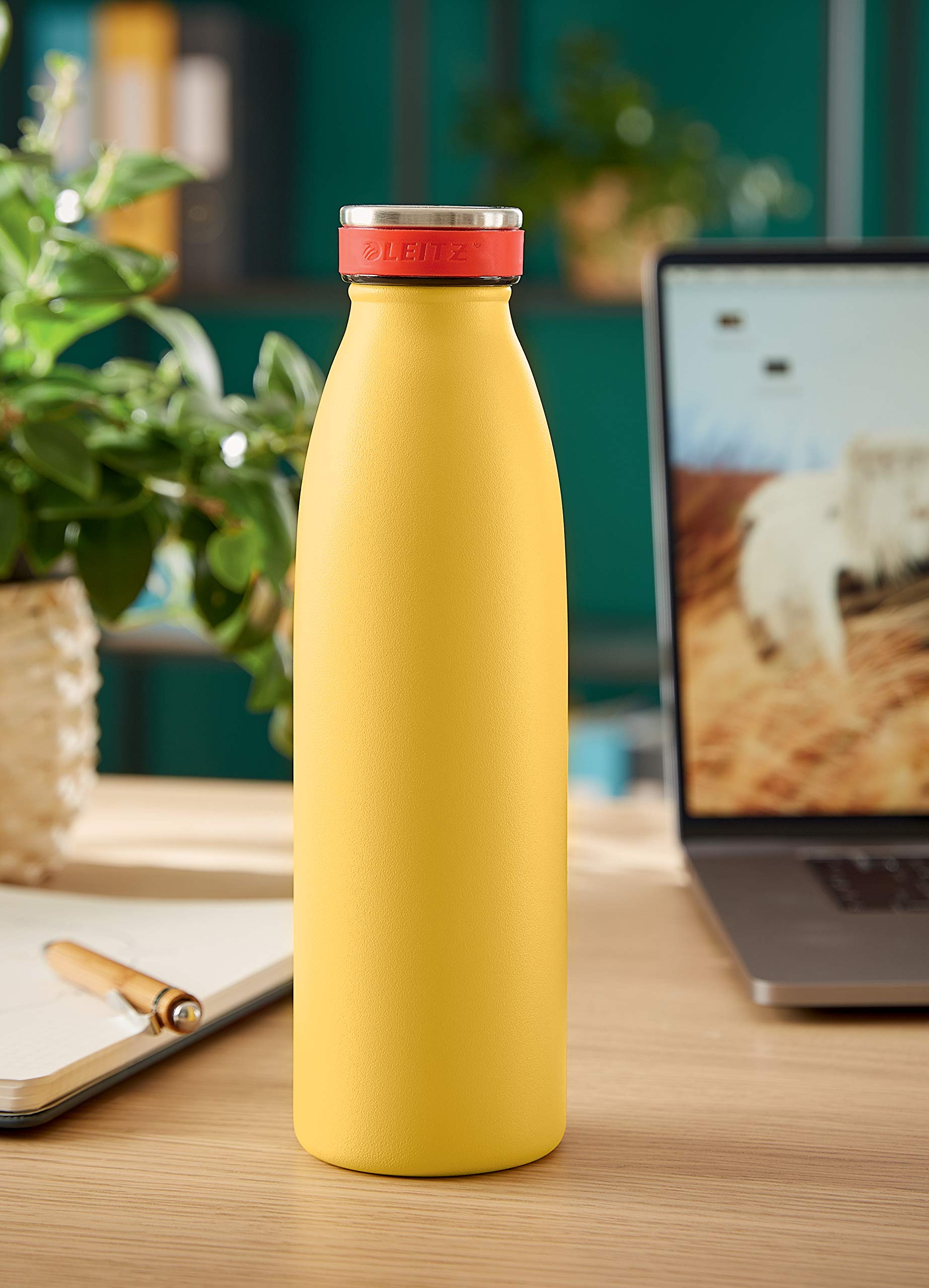 leitz-cosy-trinkflasche-500-ml-edelstahl-warmes-gelb-90160019 image 4