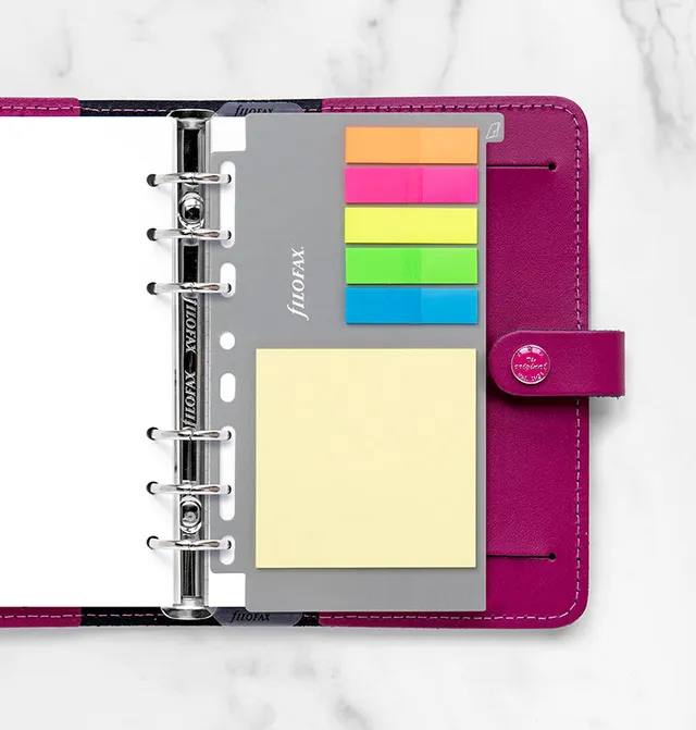 filofax-haftnotizen-sortiert-large-organiser-einlage image 1